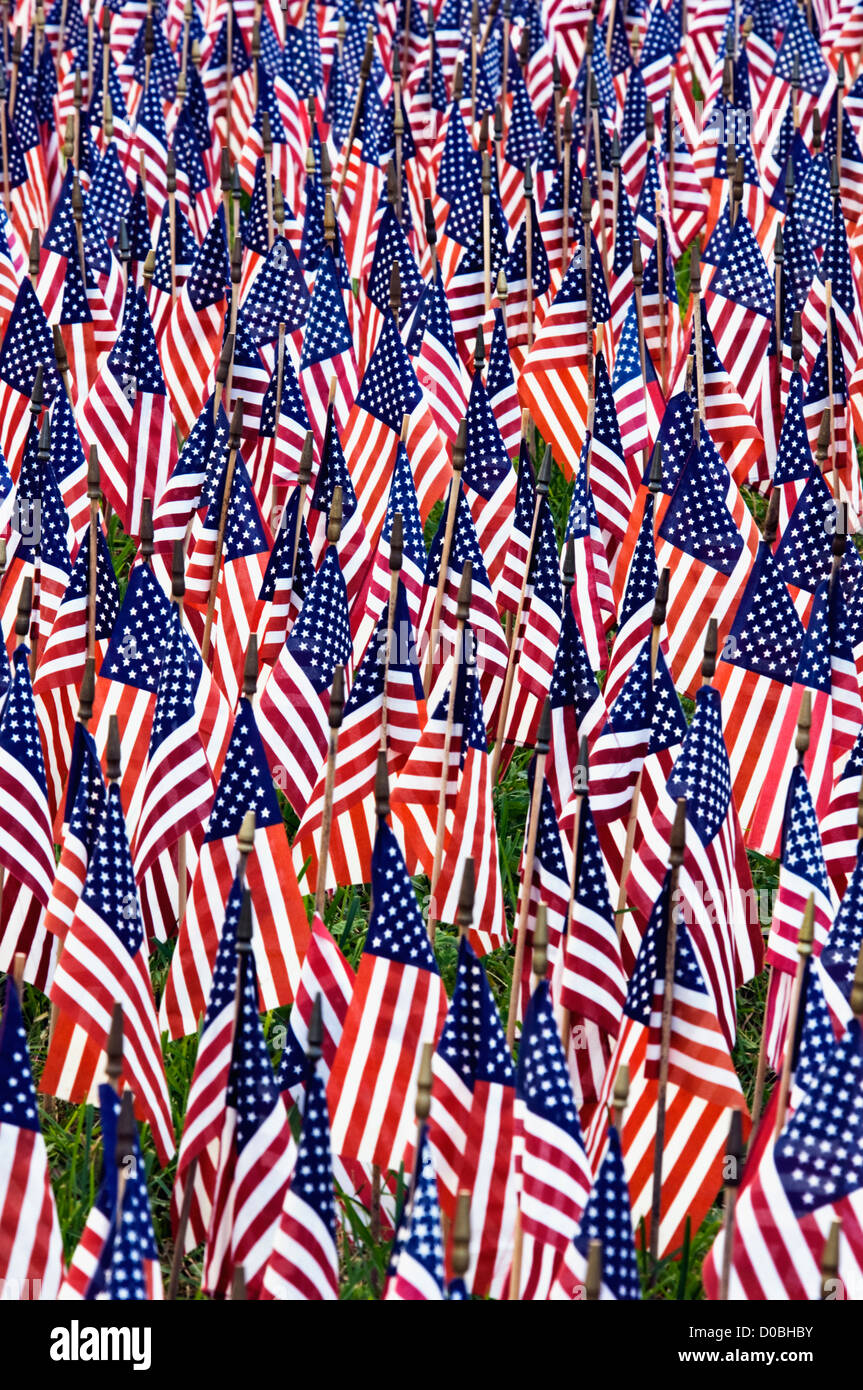Amerikanische Flaggen, amerikanische Soldaten getötet in Afghanistan auf dem Display in Bethlehem, Indiana darstellt Stockfoto