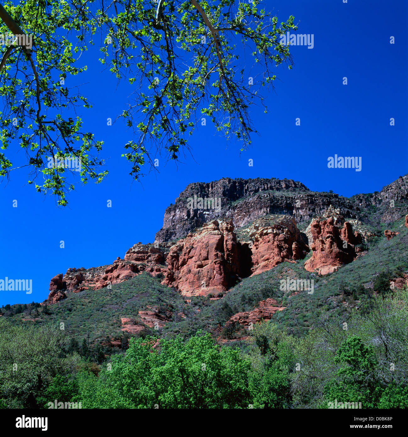 Sandsteinfelsen in Red Rock Country in der Nähe von Sedona, Arizona, USA Stockfoto