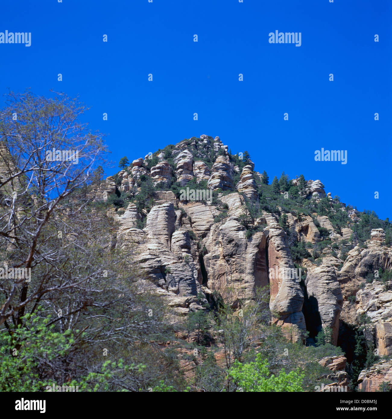 Oak Creek Canyon in der Nähe von Sedona, Arizona, USA - Sandstein-Klippen in der Nähe von Slide Rock State Park Stockfoto