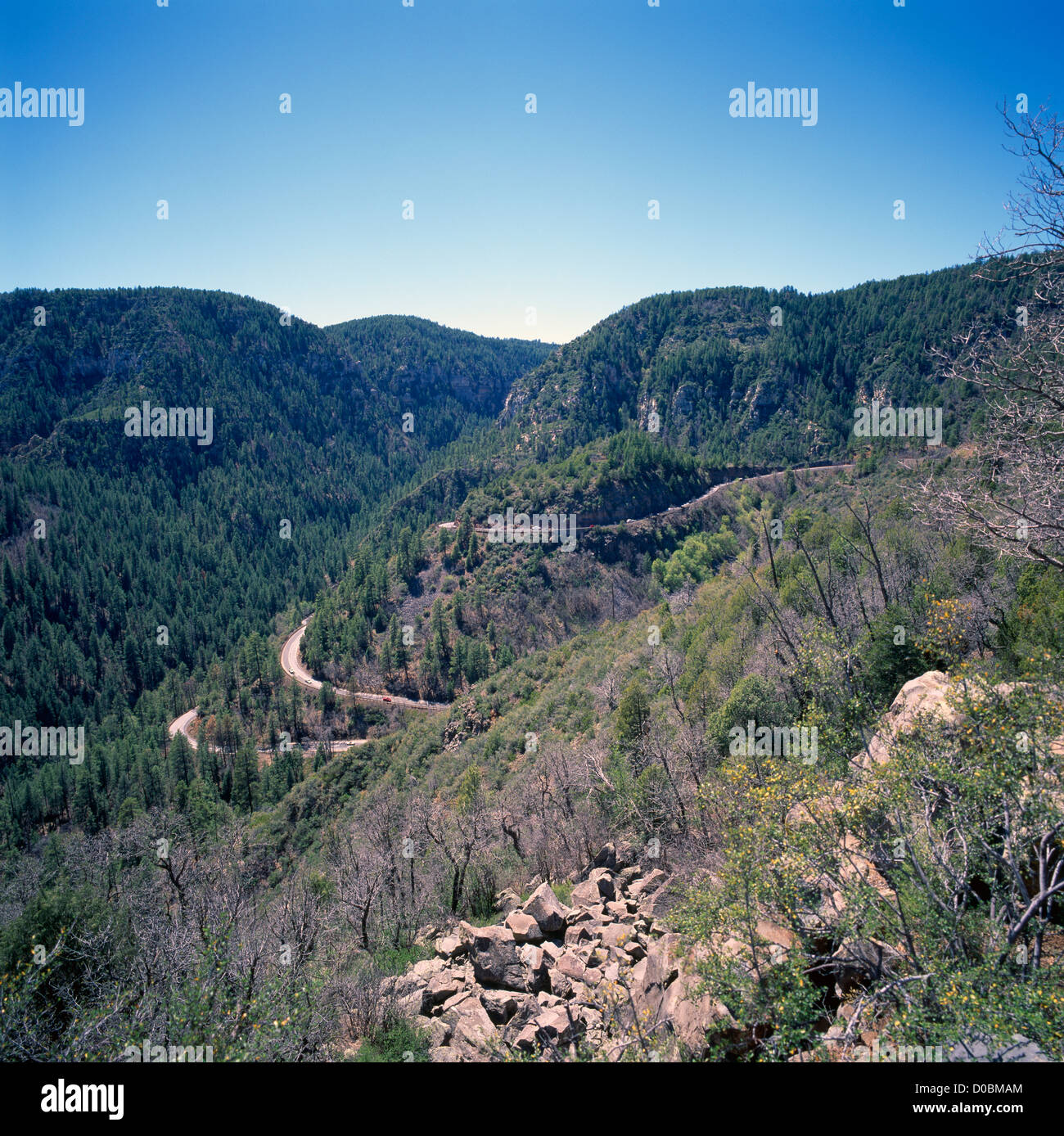 Highway 89A schlängelt sich durch Oak Creek Canyon und Coconino National Forest zwischen Sedona und Flagstaff, Arizona, USA Stockfoto