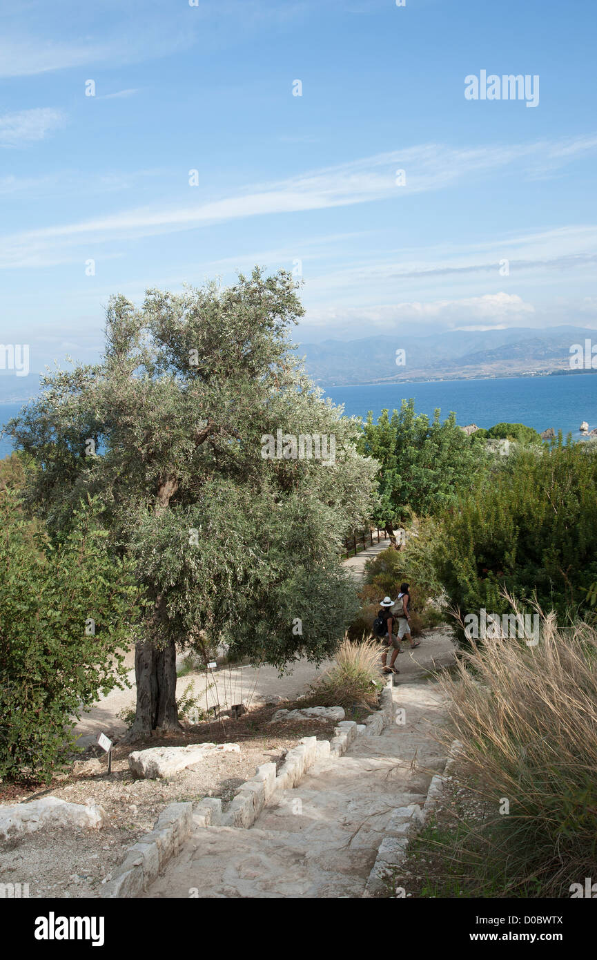 Botanical garden baths aphrodite cyprus Fotos und Bildmaterial in