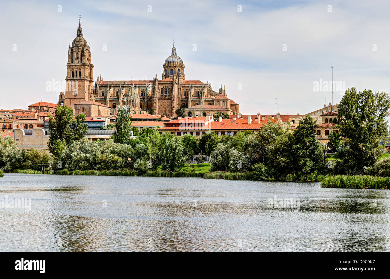 Fluss Tormes und Kathedrale von Salamanca, Spanien Stockfoto