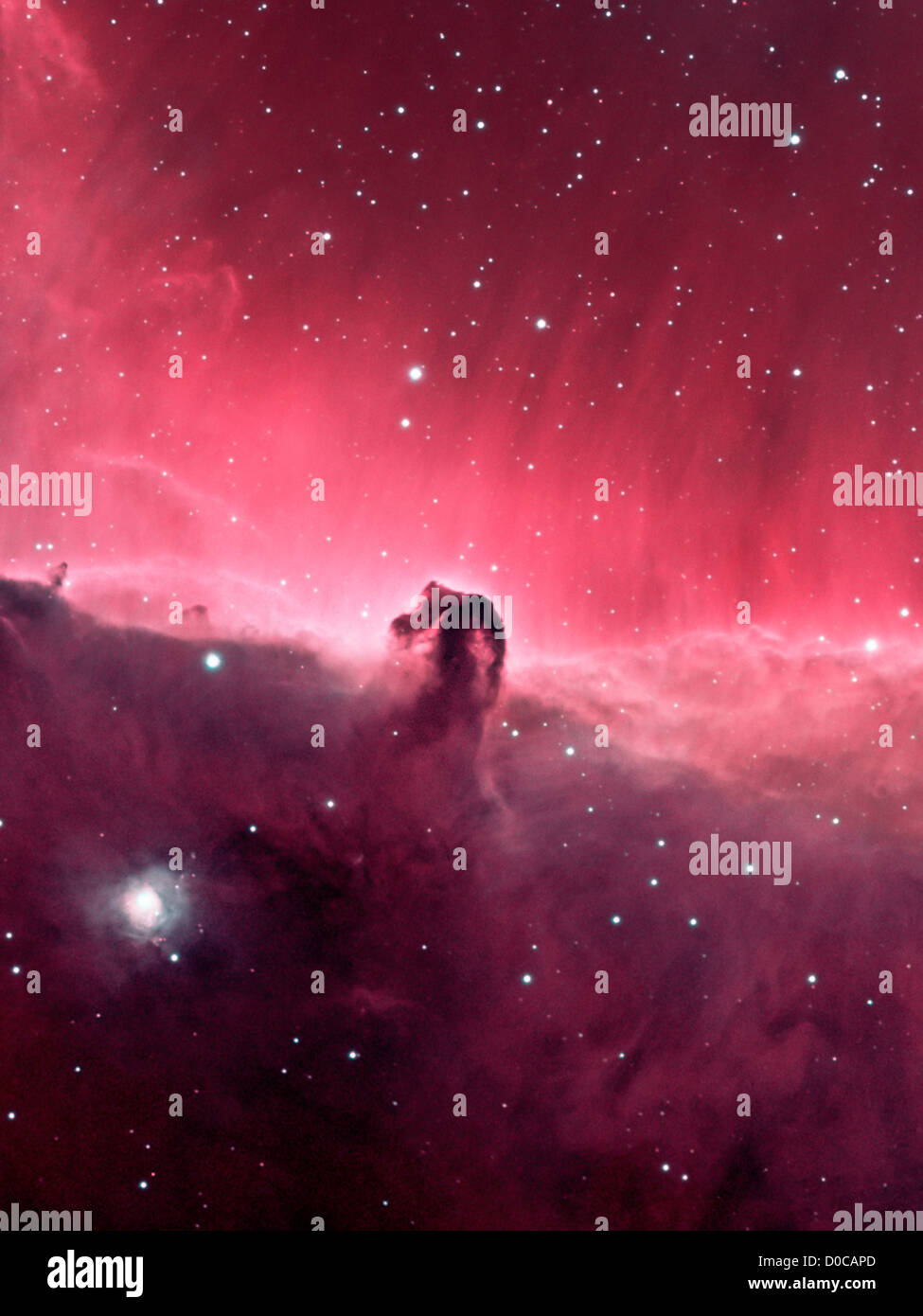 Pferdekopf-Nebel Stockfoto