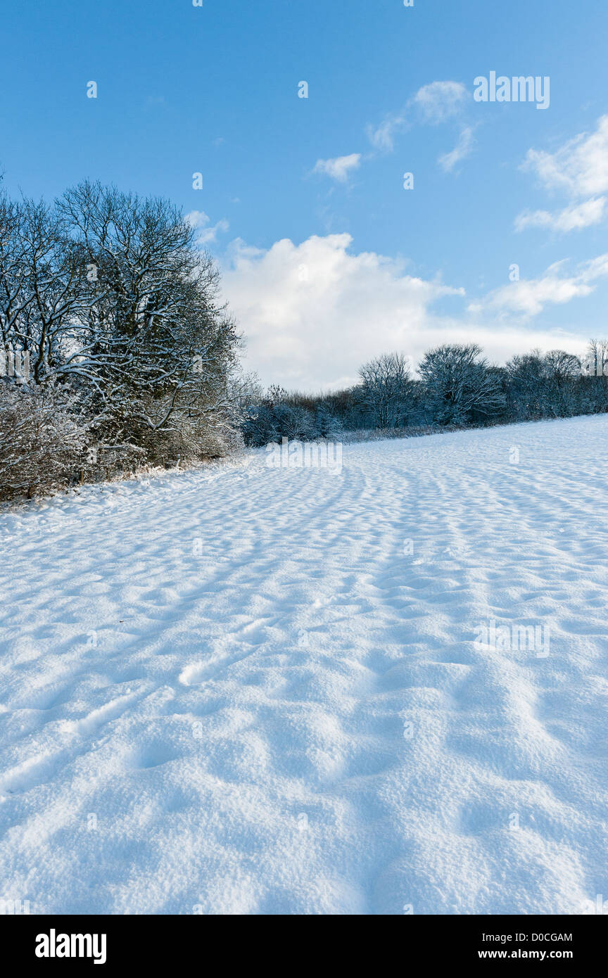Englische Landschaft im winter Stockfoto