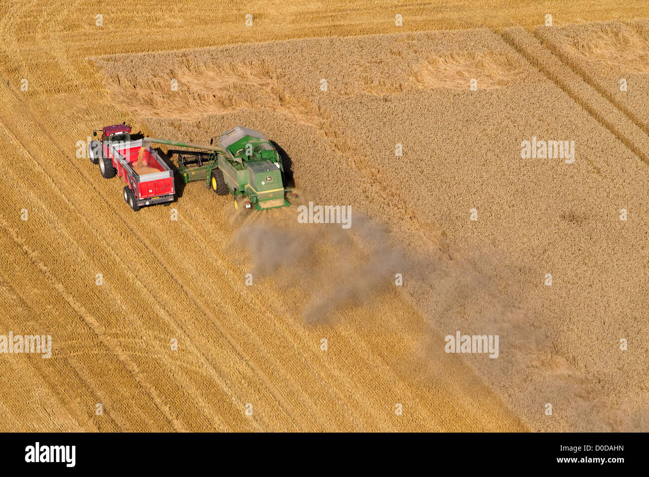 MÄHDRESCHER IN EINEM WEIZENFELD AUF DEN EBENEN DER FRANZÖSISCHEN NORMANDIE EURE (27) EURE TAL Stockfoto