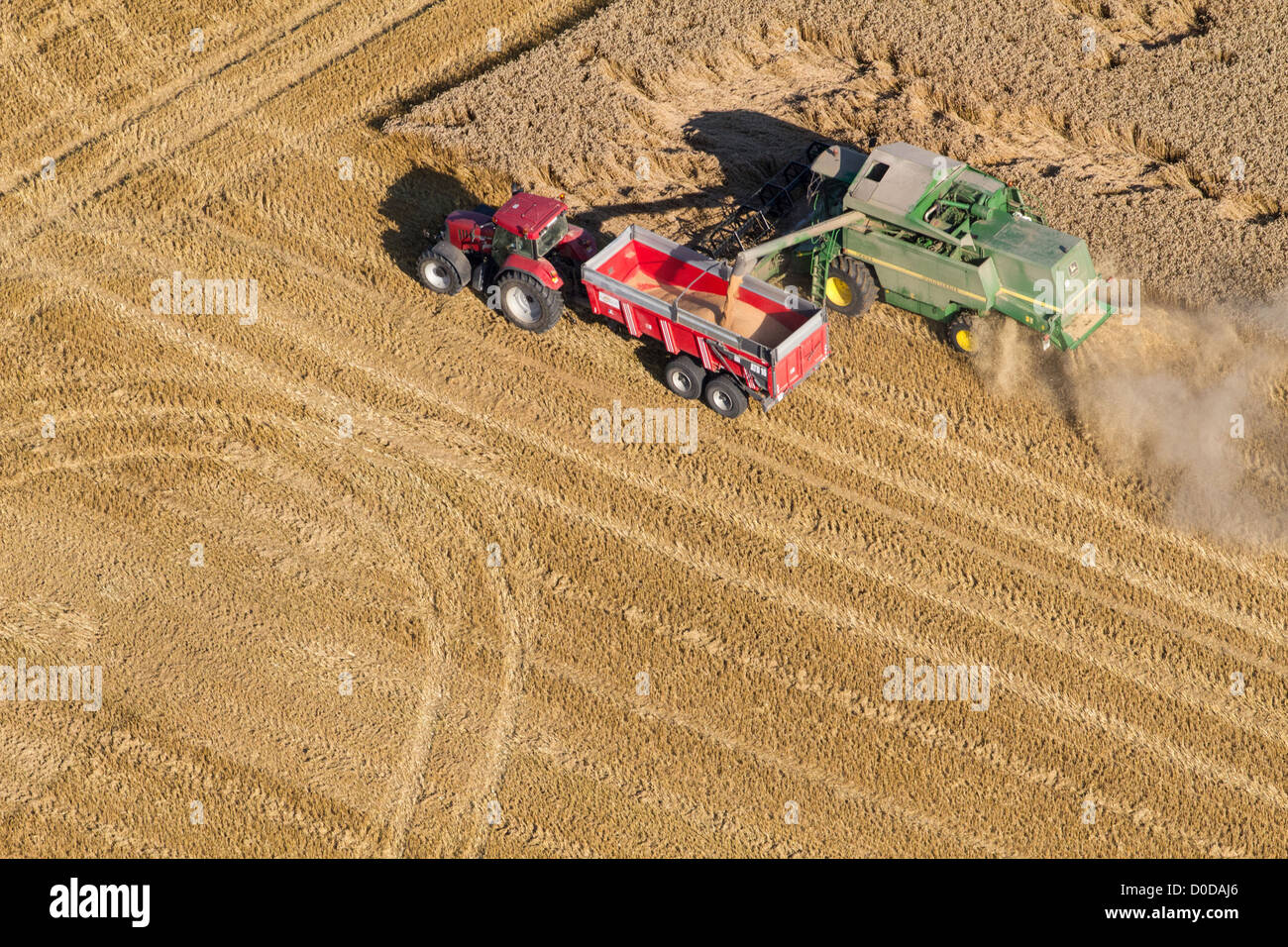 MÄHDRESCHER IN EINEM WEIZENFELD AUF DEN EBENEN DER FRANZÖSISCHEN NORMANDIE EURE (27) EURE TAL Stockfoto