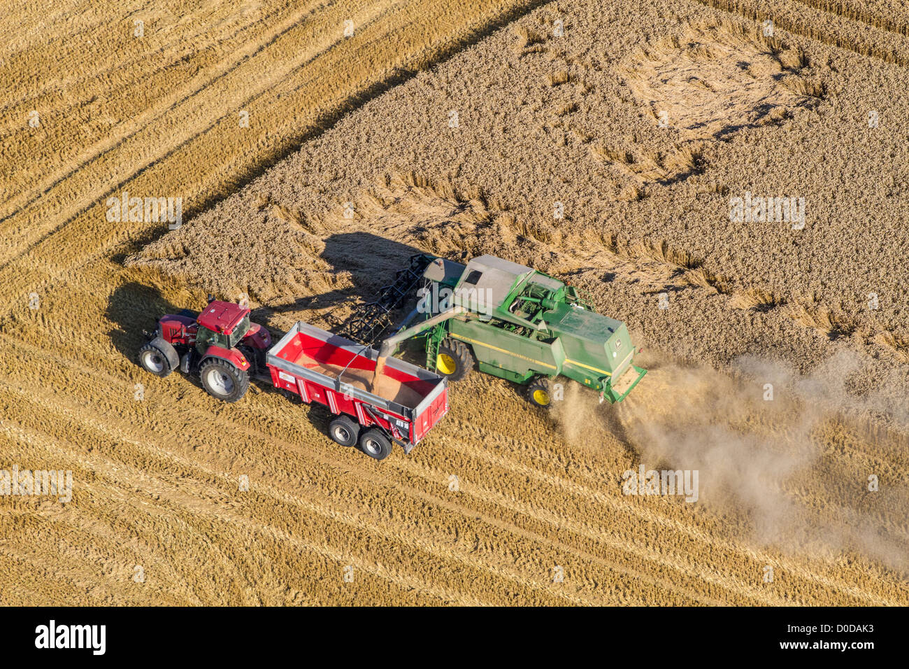 MÄHDRESCHER IN EINEM WEIZENFELD AUF DEN EBENEN DES TALS EURE, EURE (27) NORMANDIE FRANKREICH Stockfoto