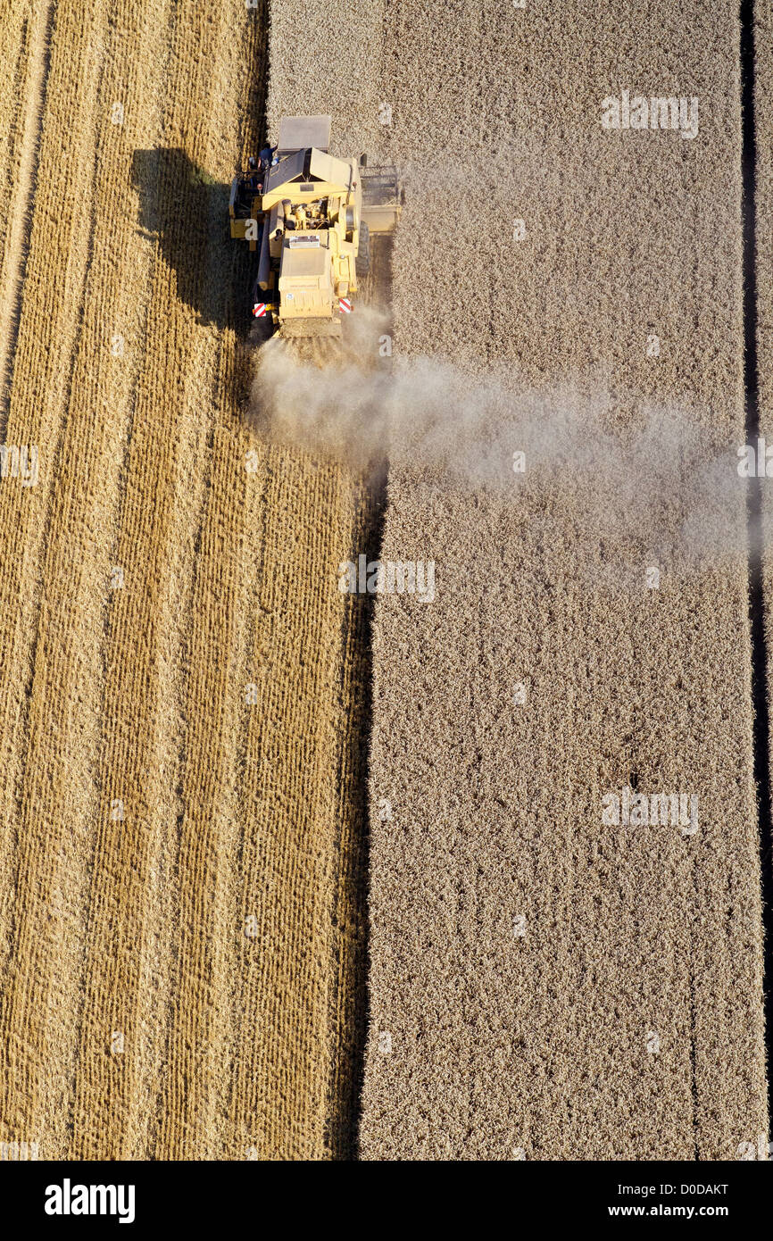 MÄHDRESCHER IN EINEM WEIZENFELD AUF DEN EBENEN DER FRANZÖSISCHEN NORMANDIE EURE (27) EURE TAL Stockfoto
