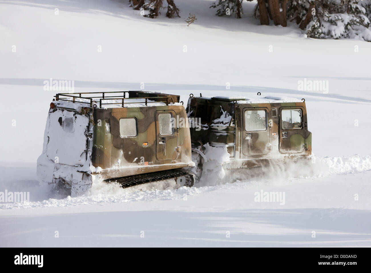 Verfolgt Schnee Fahrzeug Stockfoto