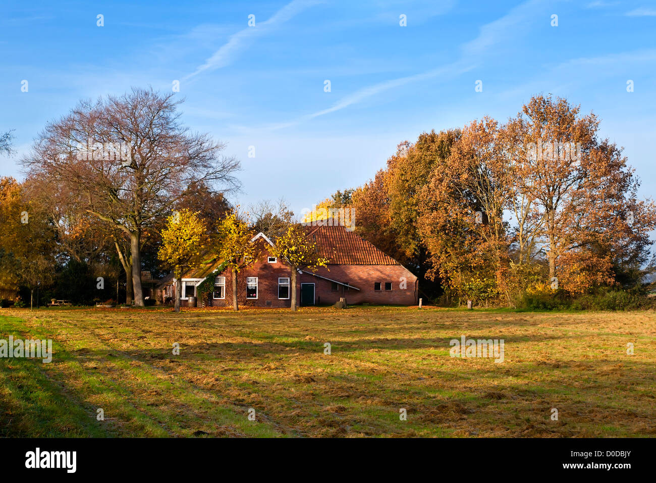 typische holländische Bauernhaus im goldenen Herbst Stockfoto