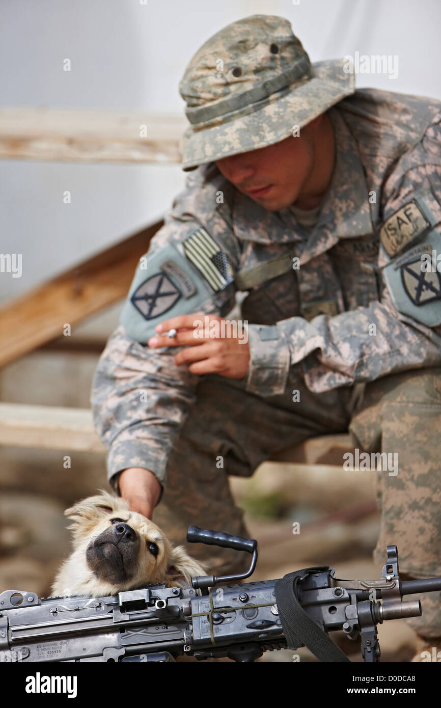 US-Armee Soldaten Petting Hund Stockfoto