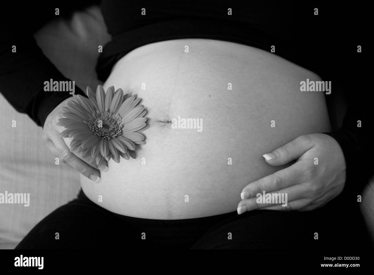 Schwangere Frau mit Händen am Bauch Stockfoto