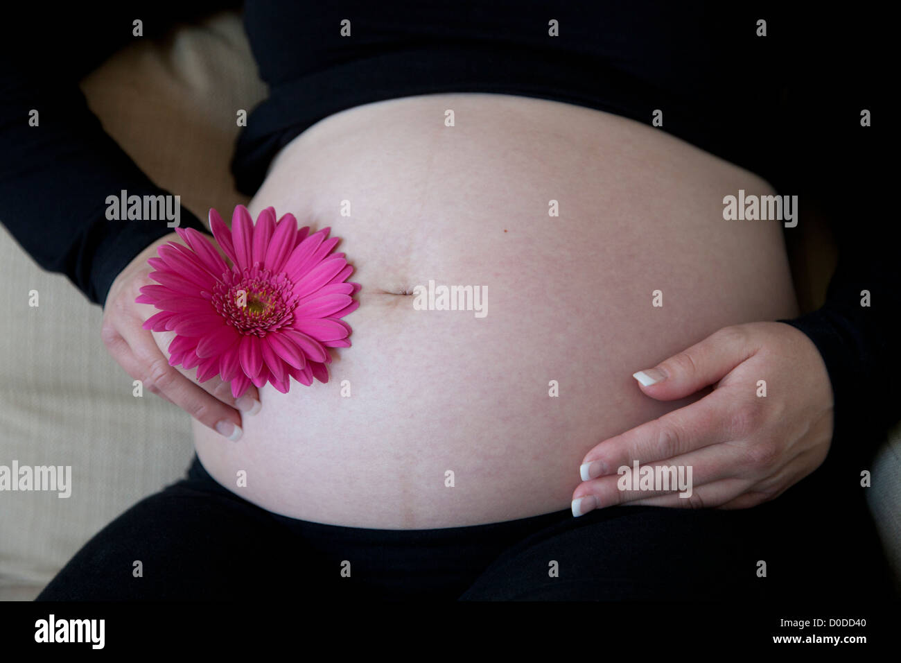 Schwangere Frau mit Händen am Bauch Stockfoto