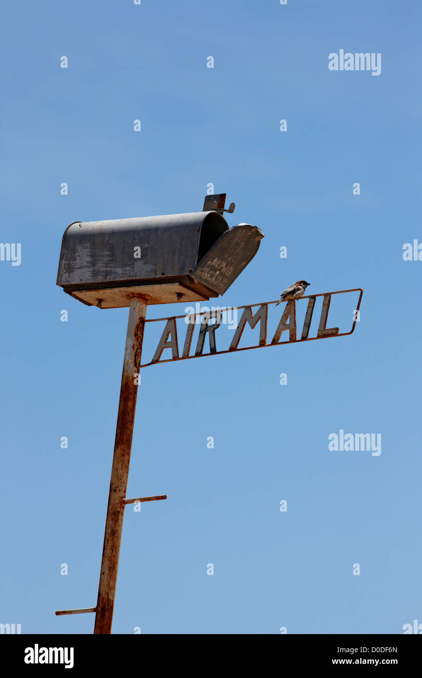 Ein kleiner Vogel sitzt auf einem Luftzeichen Post in Arizona, warum. Stockfoto