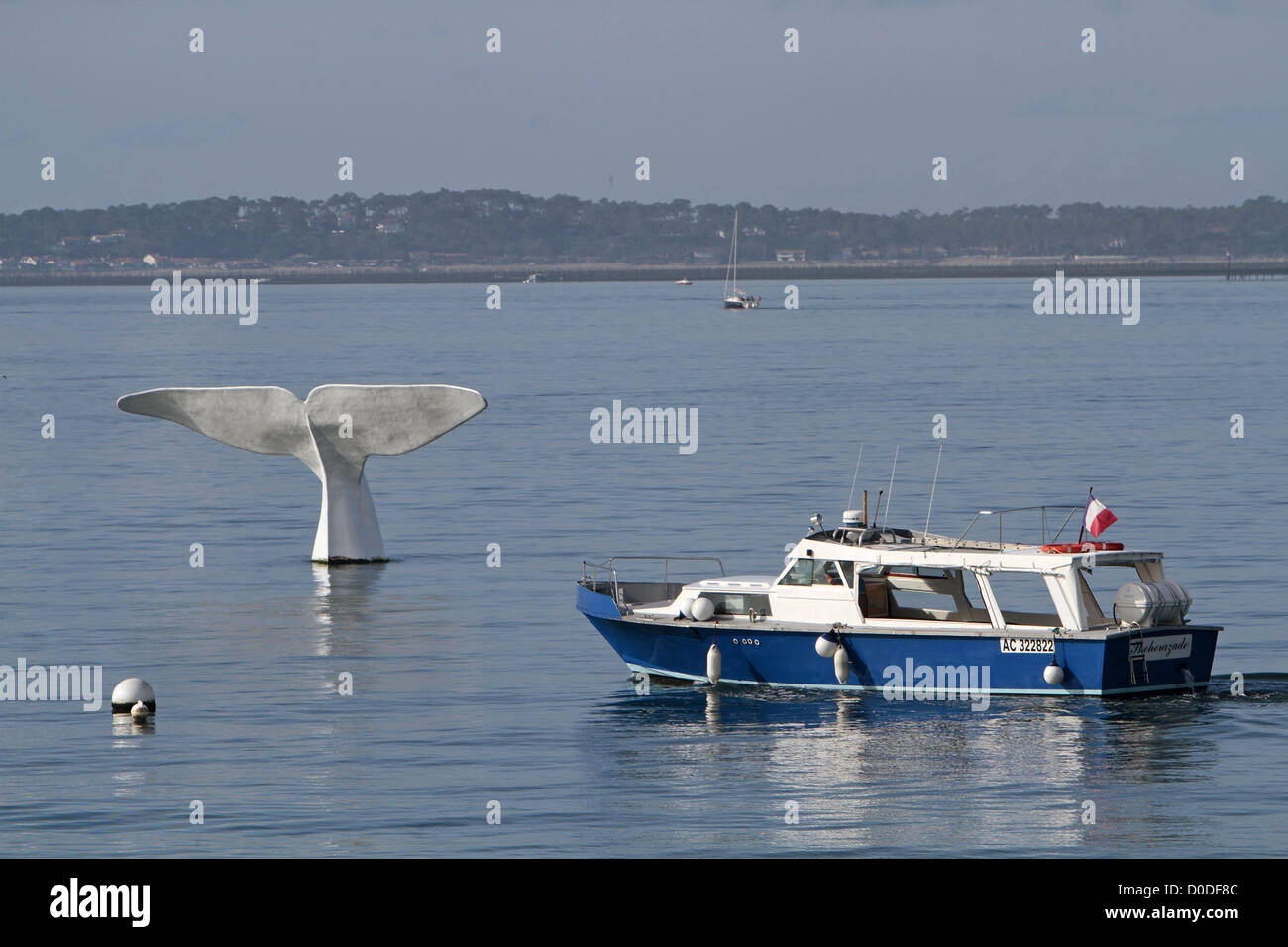 WALS TAIL HARZ SKULPTUR BELGISCHE KÜNSTLER EMMANUEL JANSSEENS HIERZU INSTALLIERT IN 2011 VOR KÜSTE THIERS STRAND ARCACHON Stockfoto