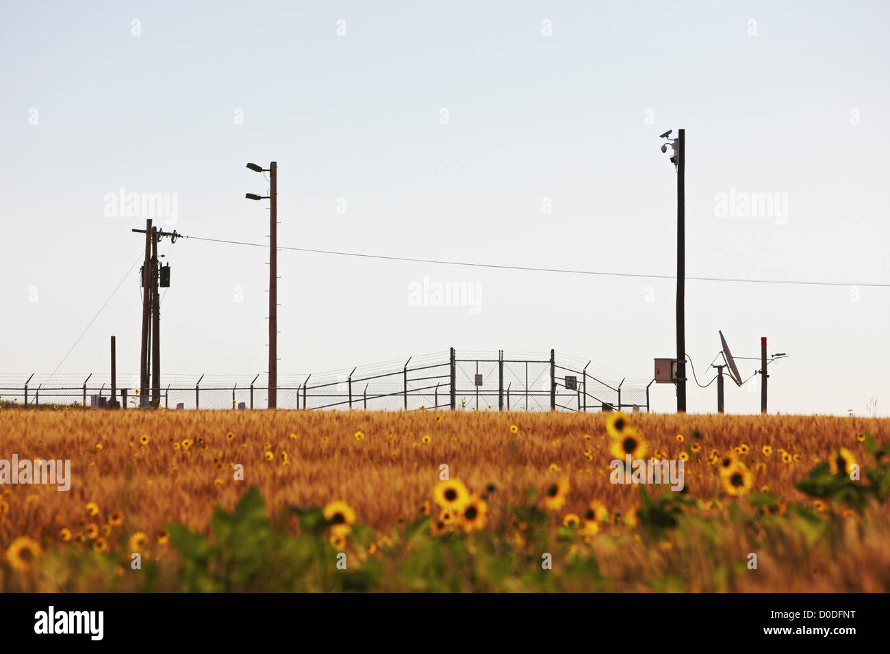Blühende Sonnenblumen umgeben ein Minuteman-III Atomrakete Silos im südwestlichen Nebraska. Stockfoto