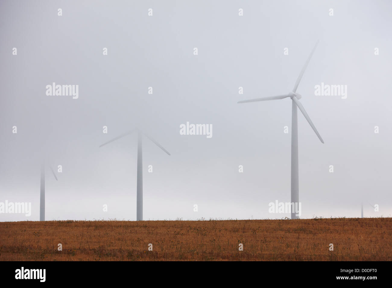 Windkraftanlagen, die teilweise durch eine Wolke gehüllt. Stockfoto