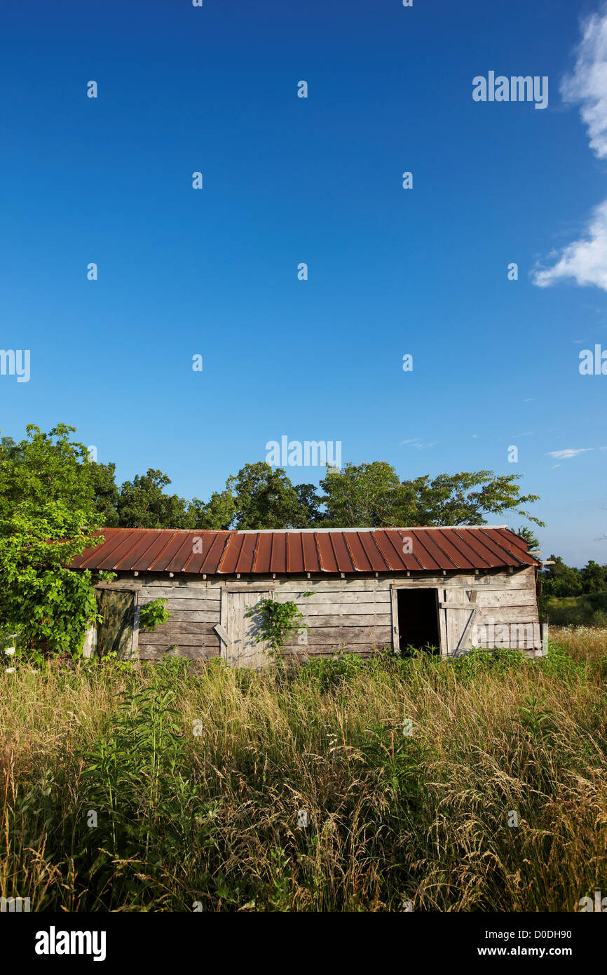 Verlassene, überwucherten Bauernhaus, Arkansas Stockfoto