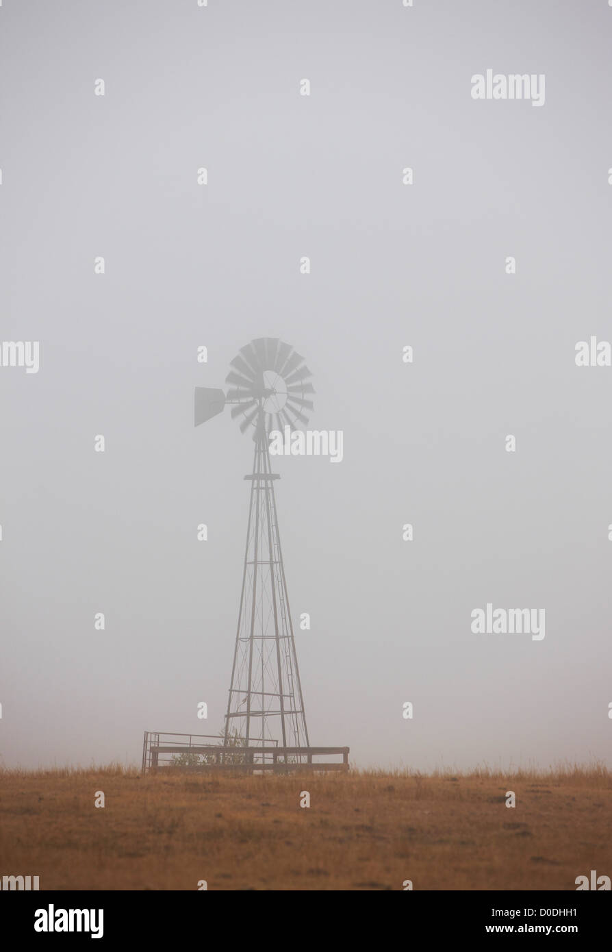 Windmühle in Nebel Stockfoto