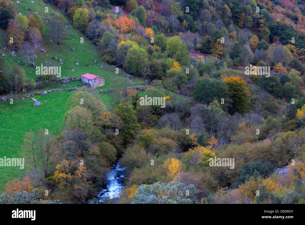 Ason Flusstal in der Parklandschaft "Collados del Ason' (Kantabrien, Spanien. Stockfoto