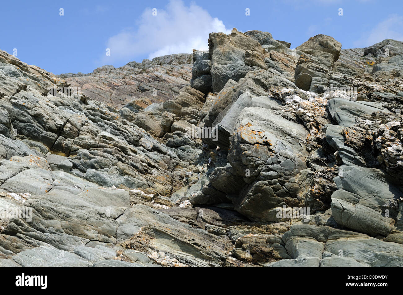 Rhoscolyn Antiklinale präkambrischen Felsen Anglesey Wales Cymru UK GB Stockfoto