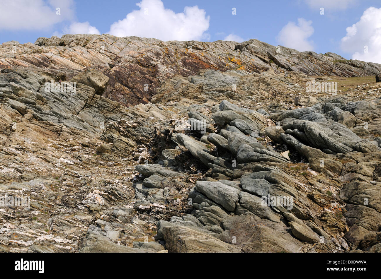 Rhoscolyn Antiklinale präkambrischen Felsen Anglesey Wales Cymru UK GB Stockfoto