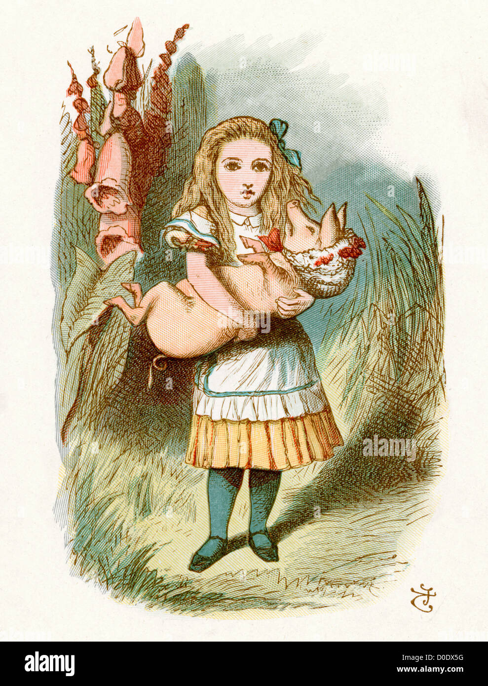 Das Schwein Baby von Lewis Carroll Geschichte Alice im Wunderland, Illustration von Sir John Tenniel, 1871 Stockfoto