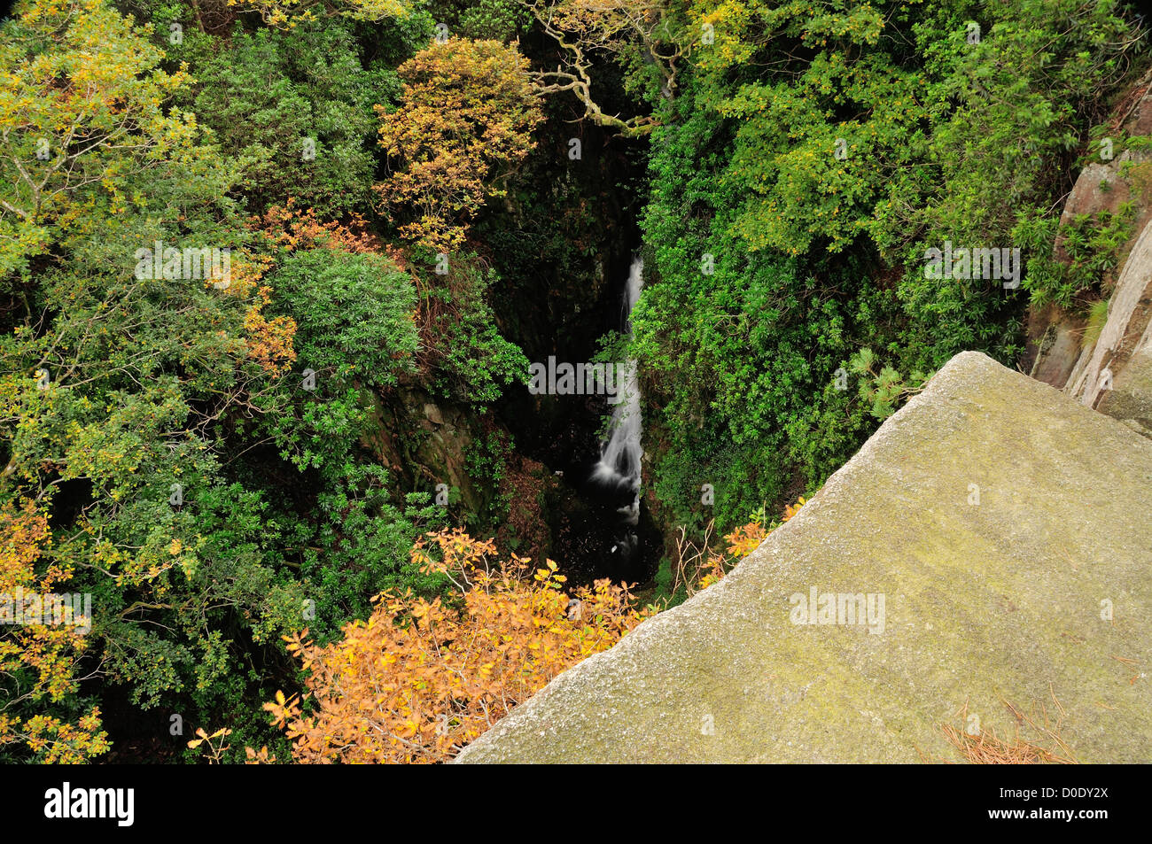 Stanley Ghyll Kraft von oben, Eskdale, englischen Lake District Stockfoto