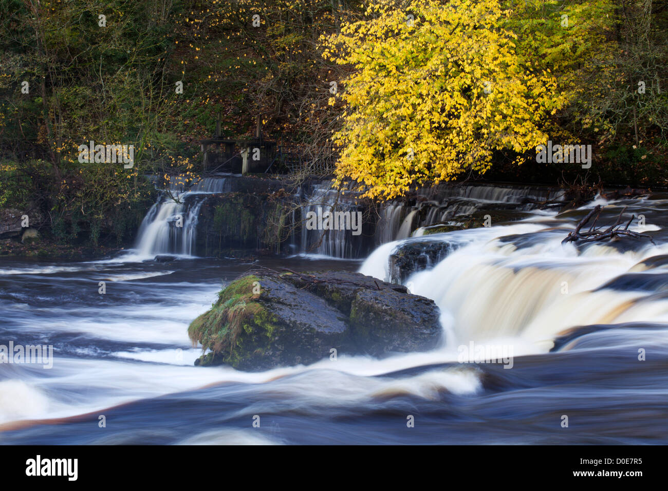 Herbstfarben am oberen Aysgarth Falls Wensleydale North Yorkshire England Stockfoto