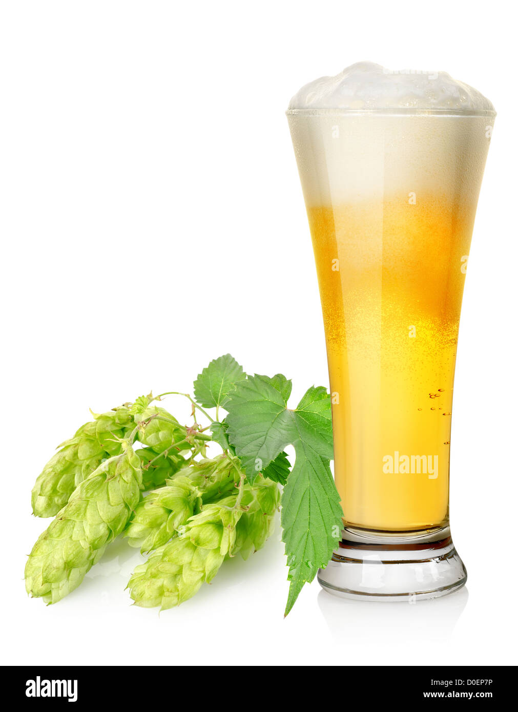 Helles Bier und Hopfen isoliert auf weißem Hintergrund Stockfoto