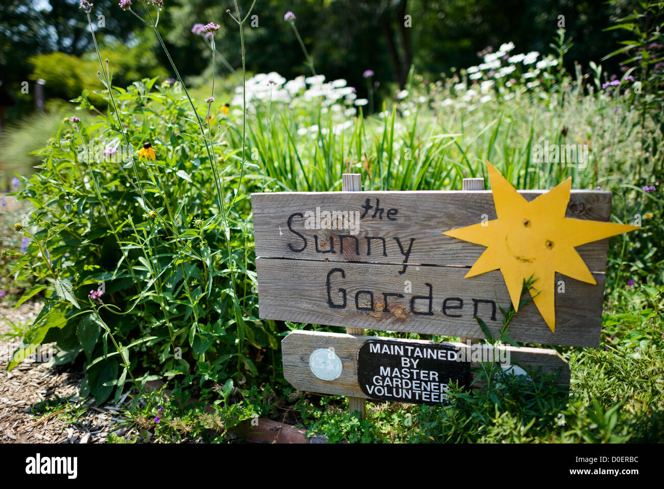 ARLINGTON, Virginia, USA – der Sunny Garden im Bon Air Park, der durch freiwillige gemeinnützige Aktivitäten gepflegt wird, zeigt lokale Gartenbaupraktiken. Der Garten dient sowohl als öffentliche Einrichtung als auch als Demonstration des gemeinschaftlichen Engagements für die Instandhaltung öffentlicher Räume. Ehrenamtliche Gärtner bringen ihre Zeit und ihr Fachwissen dazu bei, diesen öffentlichen Gartenbereich zu pflegen. Stockfoto