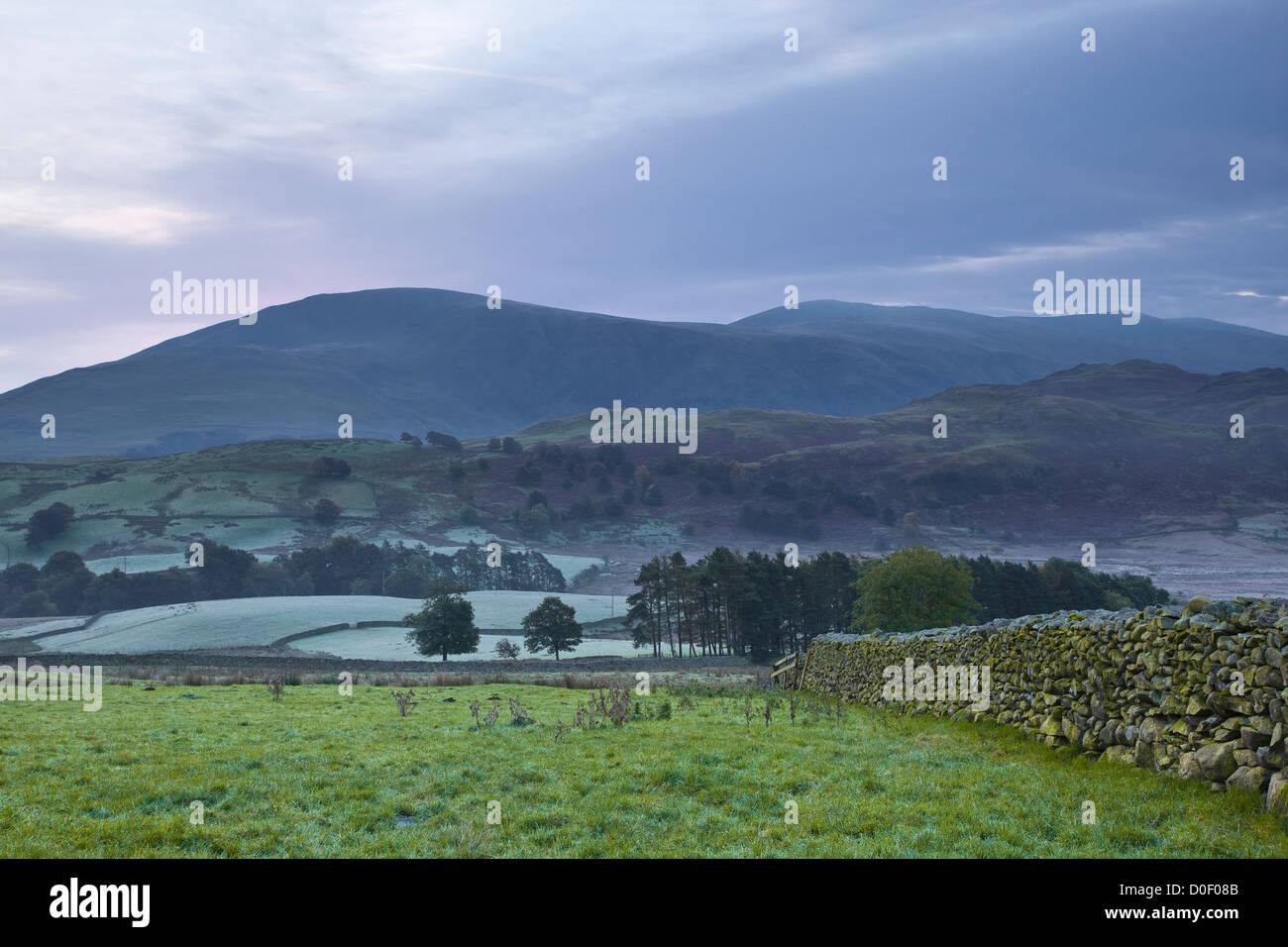 Die morgendlichen Nebel und Frost in der Nähe von Castlerigg im Lake District. Stockfoto