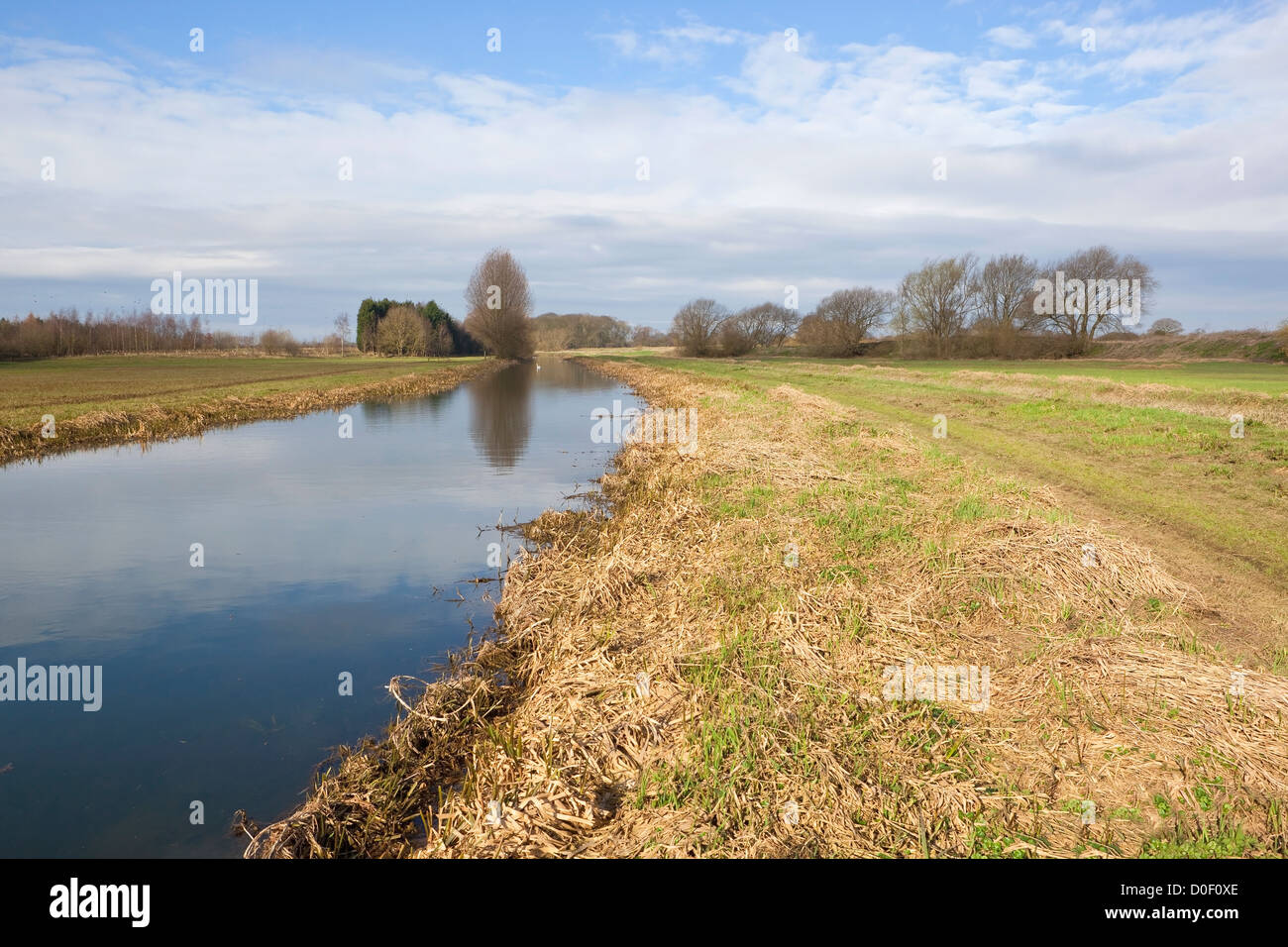 Eine englische Landschaft mit bewölktem Himmel spiegelt sich im Wasser eines Kanals im Frühling Stockfoto