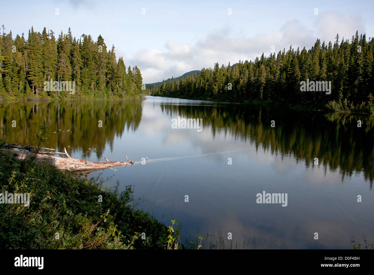 Schlachtschiff-See an der verbotenen Plateau, Strathcona Park, Vancouver Island, BC, Kanada im September Stockfoto