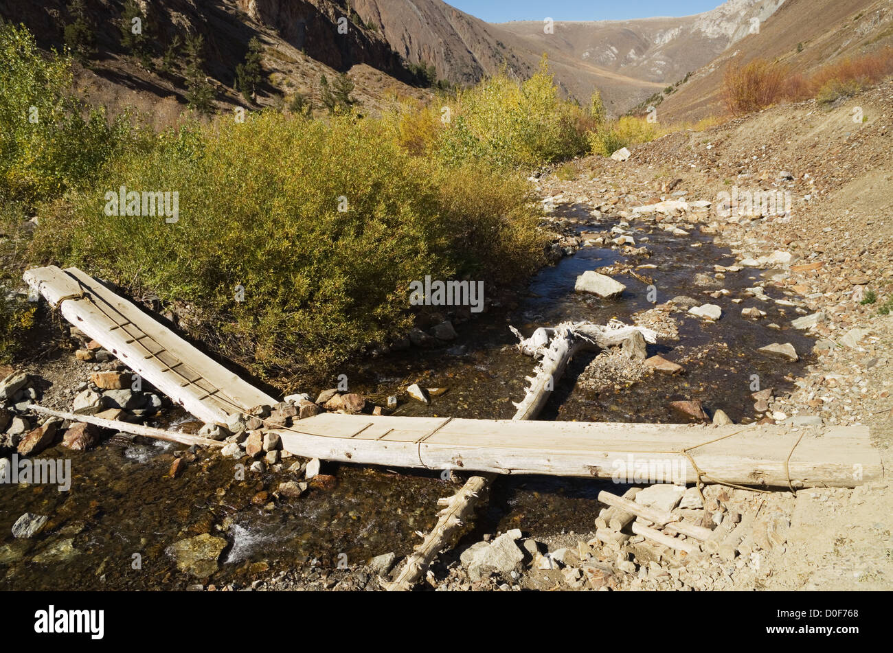 gebrochene Log Brücke über McGee Creek in der Sierra Nevada Stockfoto