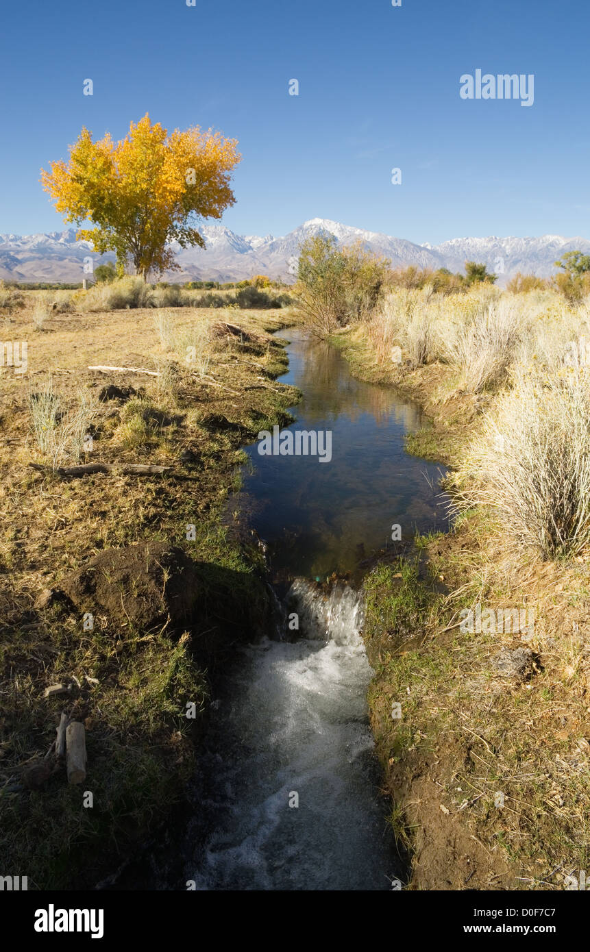 Owens Valley Bewässerung Graben im Herbst Stockfoto