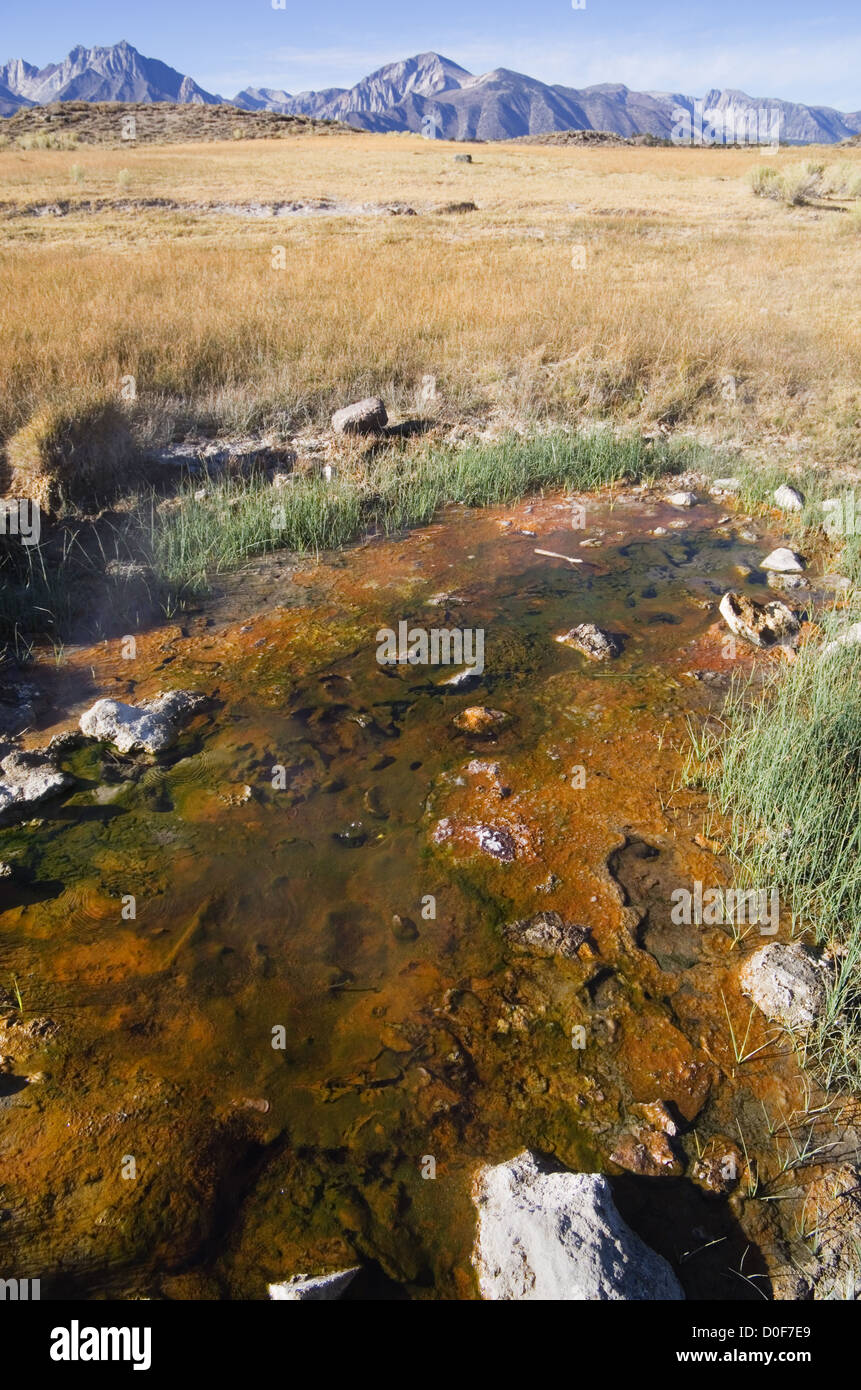 natürlichen heißen Quellen in der Long Valley Caldera in der Nähe von Mammoth Lakes, Kalifornien Stockfoto