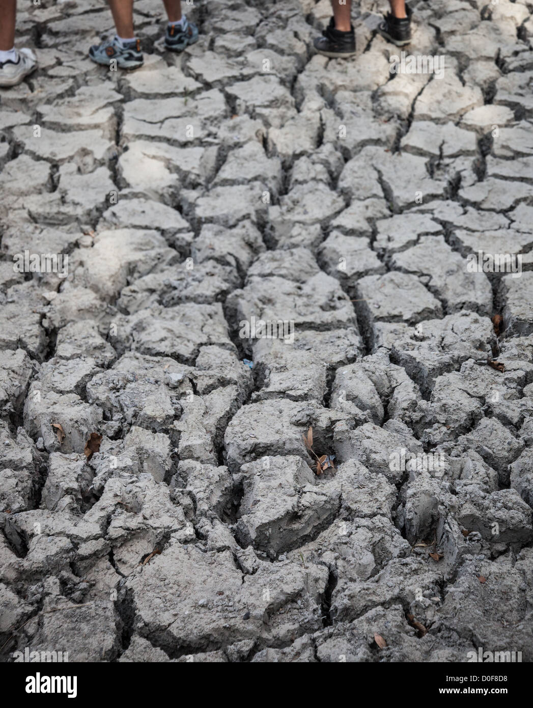 Austin, Texas - trocken, rissig Schmutz während einer Dürre in Texas Heat Stockfoto