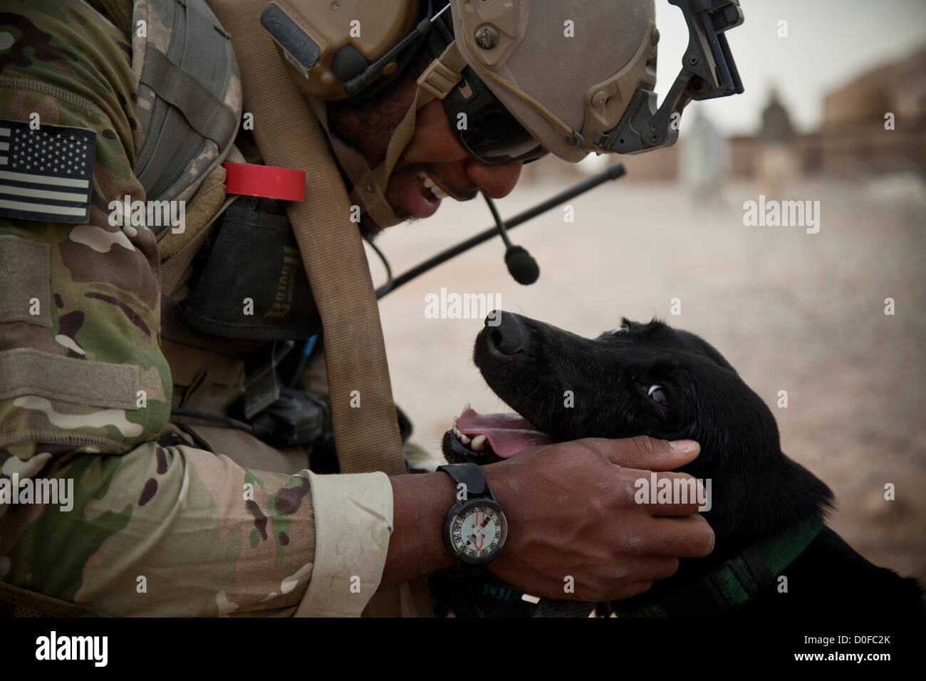 Ein US-Soldat Haustiere Paris, ein militärischer Arbeitshund während einer Sicherheitspatrouille 30. Oktober 2012 Khak-E-Safed, Farah Provinz, Afghanistan. Afghanischen Streitkräfte haben die Führung in Sicherheits-Operationen mit Koalitionstruppen als Mentoren statt. Stockfoto