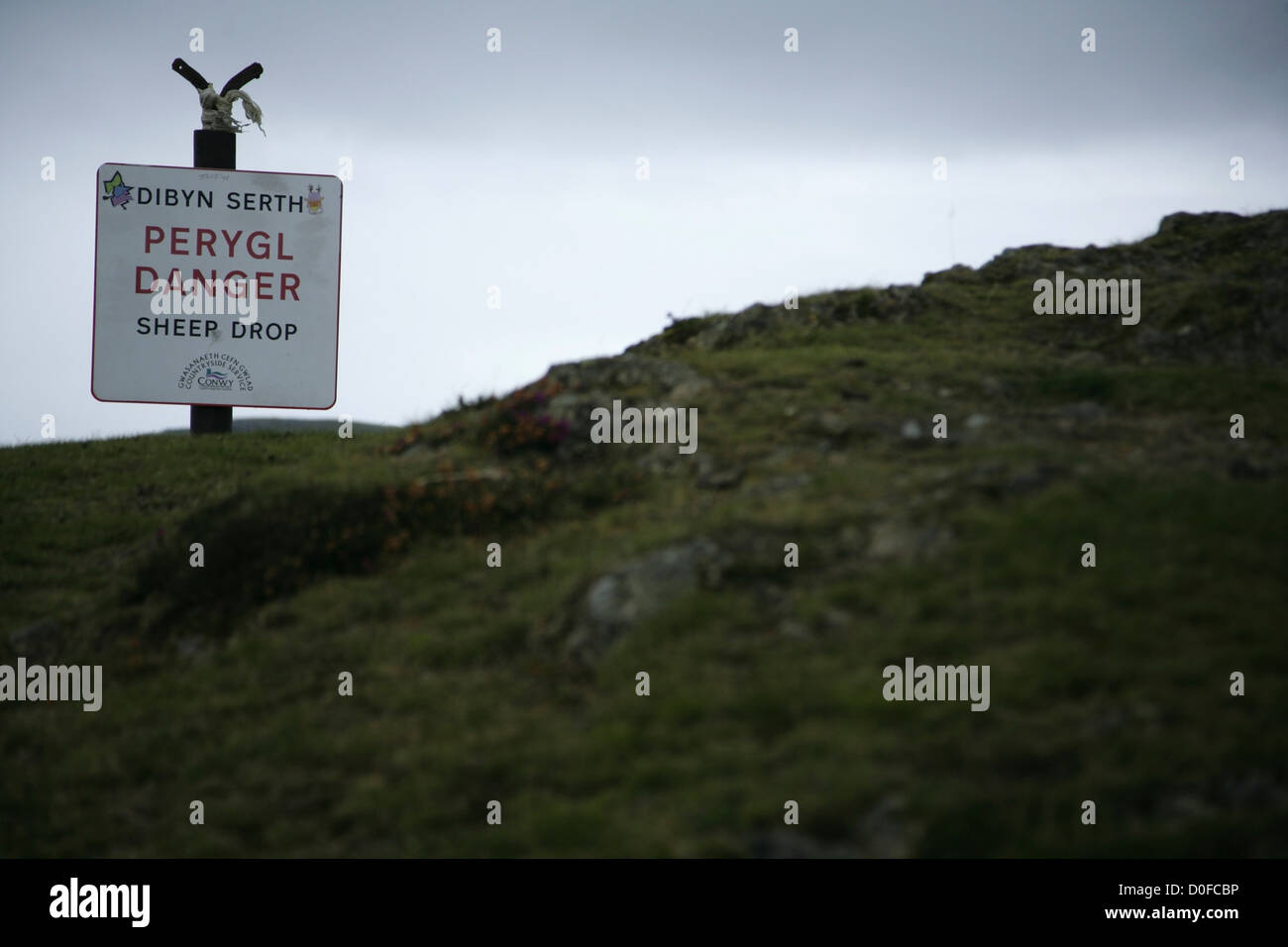 Schiere Drop Warnschild geändert zu 'Schafe Drop' auf dem Gipfel des Berges Conwy, Nordwales. Stockfoto