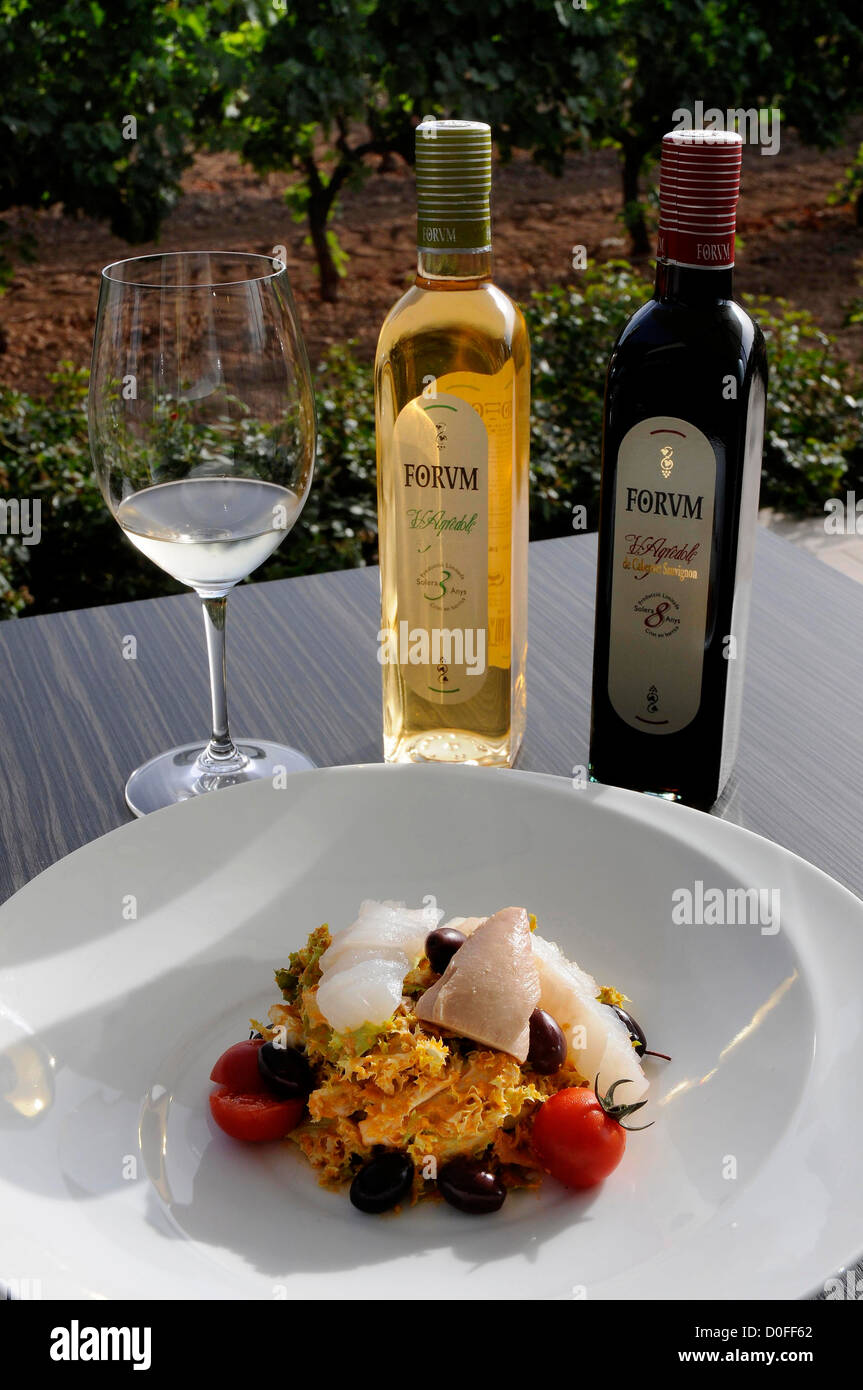 Xató-Sauce mit Mandeln geröstete Semmelbrösel mit Essig Knoblauch Öl Salz begleitet von Salat mit Kabeljau-Thunfisch-Sardellen-Oliven Stockfoto