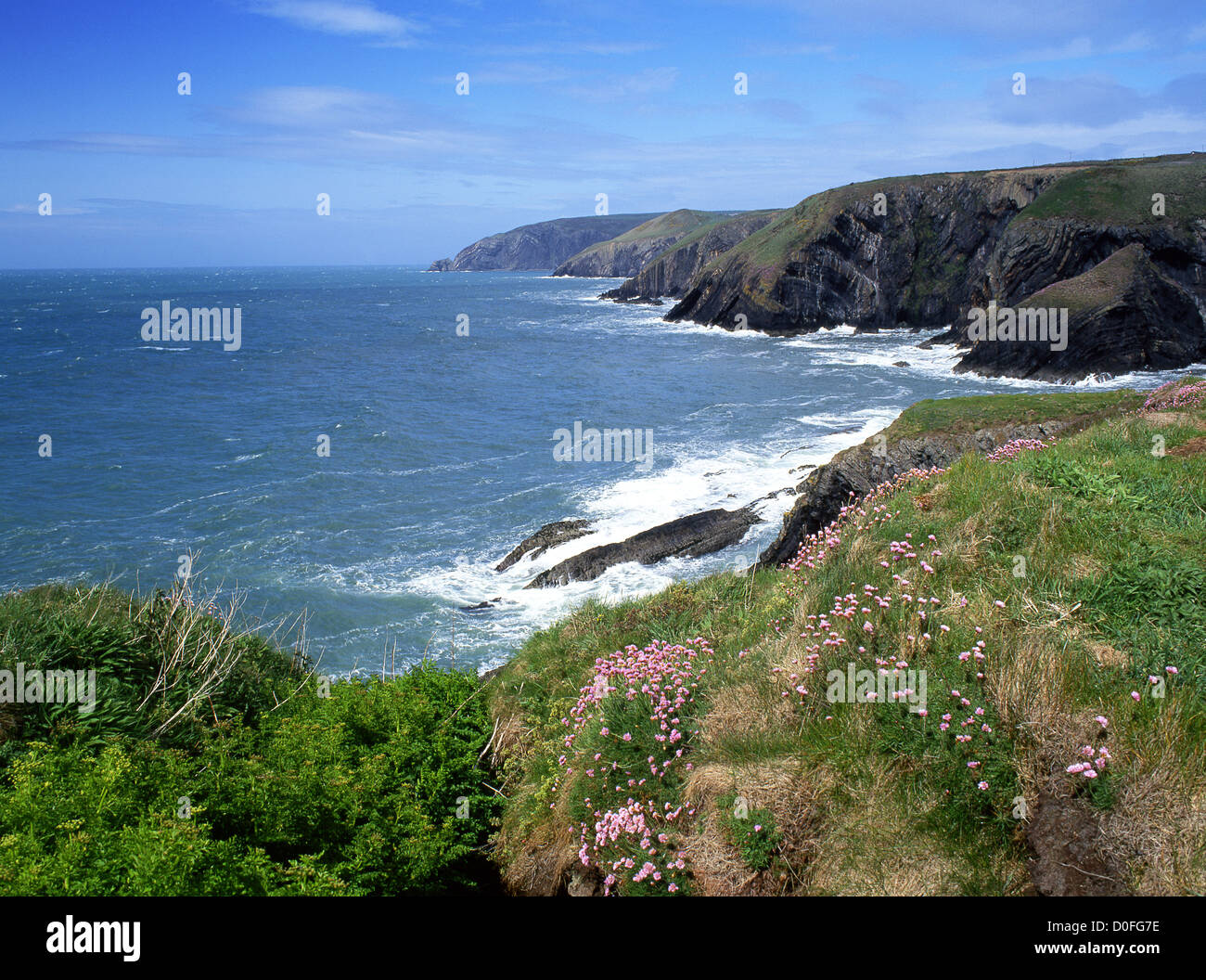 Ceibwr Bay in der Nähe von Moylegrove felsigen wilde Küstenlandschaft mit stürmischer See West Wales UK Stockfoto