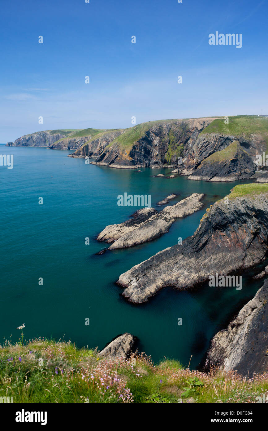 Ceibwr Bay in der Nähe von Moylegrove felsigen wilde Küstenlandschaft mit stürmischer See West Wales UK Stockfoto