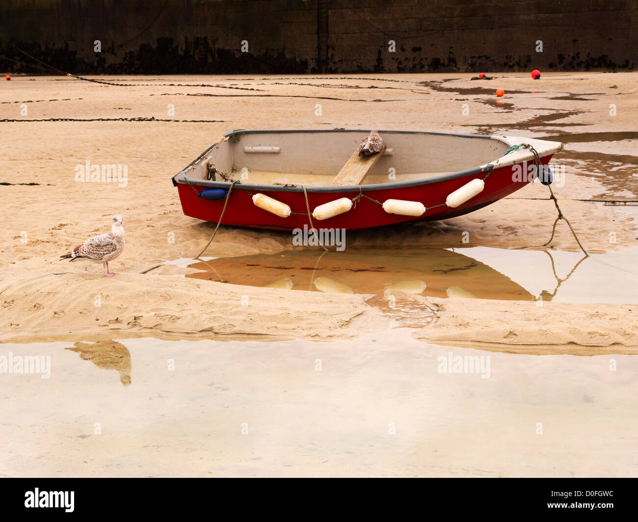 Bei Ebbe am Strand von St. Ives, Cornwall. Eine Fischerei-Jolle wartet auf die Rückkehr von Ebbe und Flut von Silbermöwen begleitet. Stockfoto