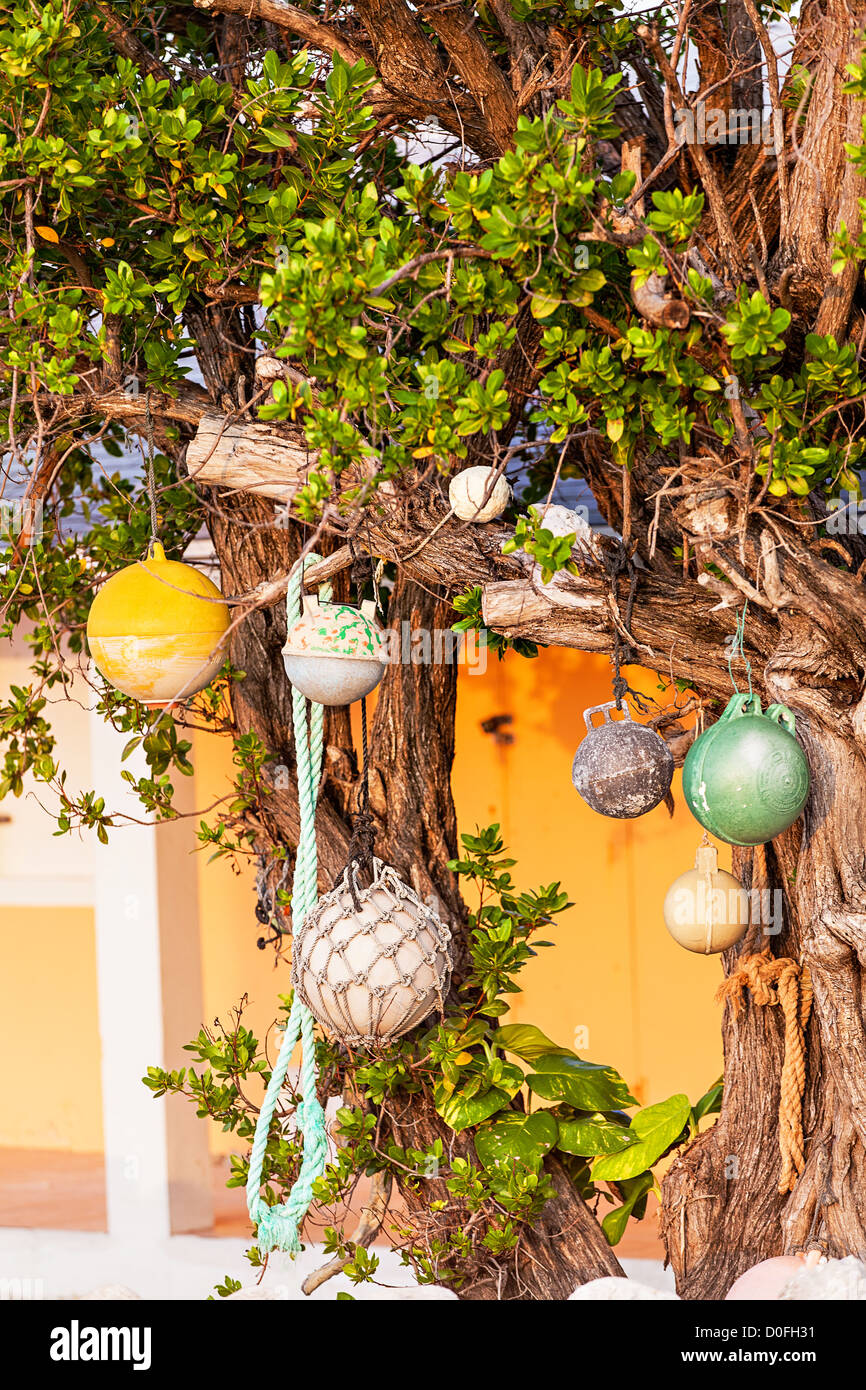 Angeln net hin-und Herbewegungen schmücken einen Baum in New Plymouth auf Green Turtle Cay, Bahamas. Stockfoto