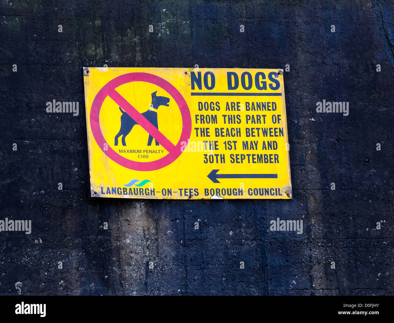 Schild mit Hunden nicht erlaubt am Strand von Redcar vom 1. Mai bis 30. September ein alten Zeichen von nicht mehr existierenden Langbaurgh Rat Stockfoto