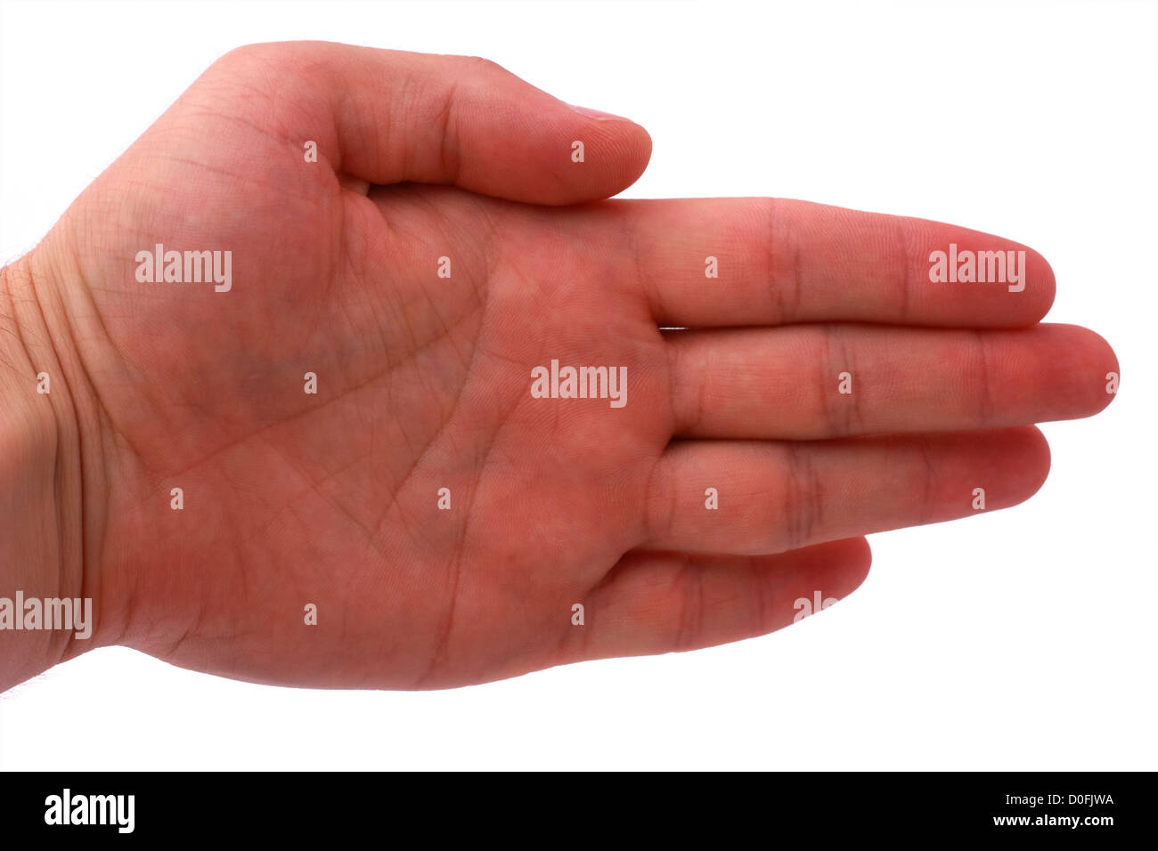 Leere männliche Hand isoliert auf weißem Hintergrund Stockfoto