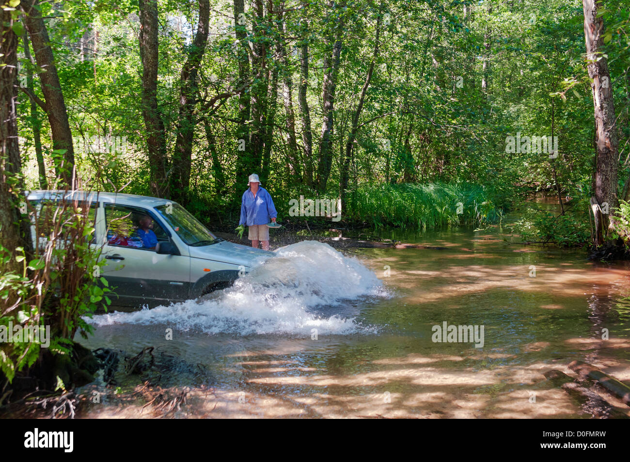 Automobil Furt kleiner Wald-Fluss. Stockfoto
