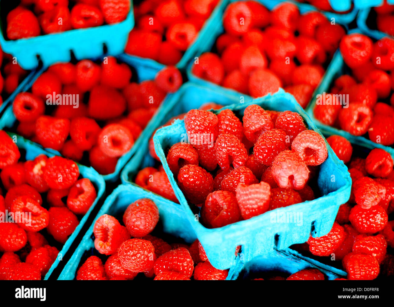 Frische Beeren in Behältern auf dem Display für Verkauf auf dem Markt Stockfoto