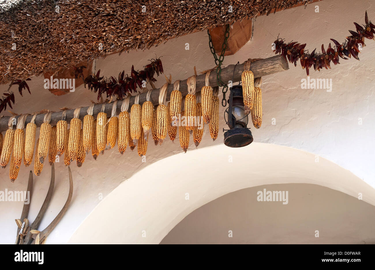 Traditionellen Mais Dehydrierung bei den farmhouse,Tihany(Hungary) Stockfoto